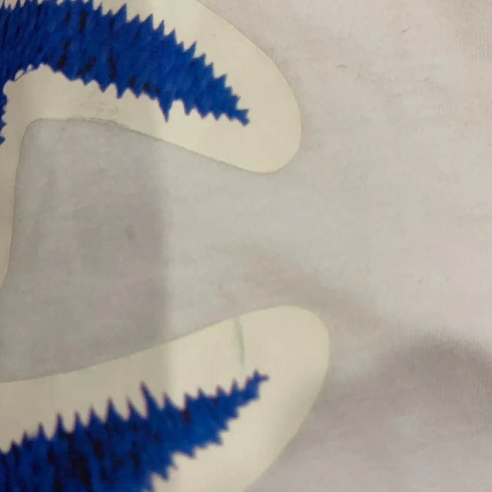 NWT kid’s Champion outfit 4